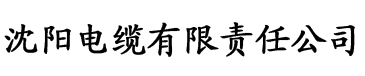 亚洲av污精品一区二区三区电缆厂logo